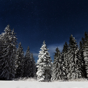 萌白酱视频在线
